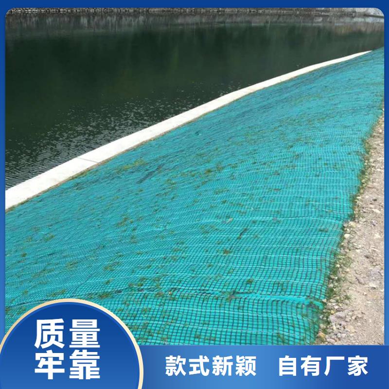环保植被垫河道护坡椰丝毯应用广泛