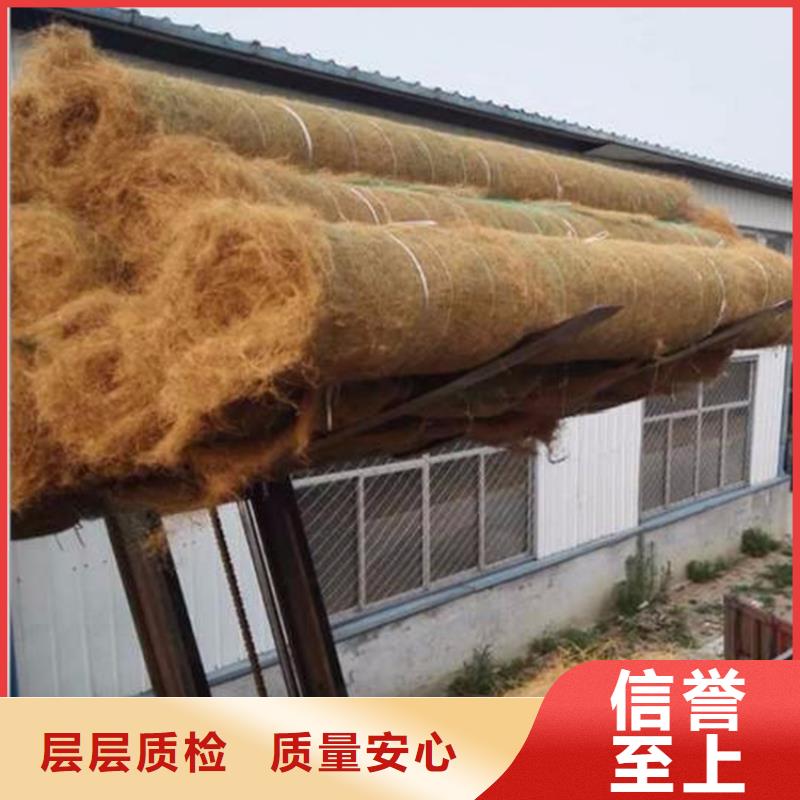 植生椰丝毯-植物纤维毯-护坡绿化椰丝毯质检严格