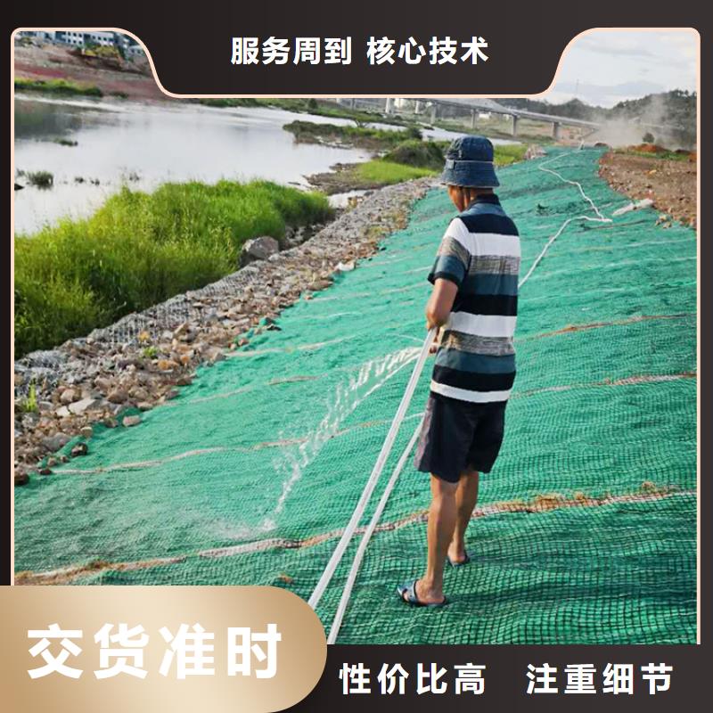 植物生态防护毯-加筋抗冲生物毯拒绝伪劣产品