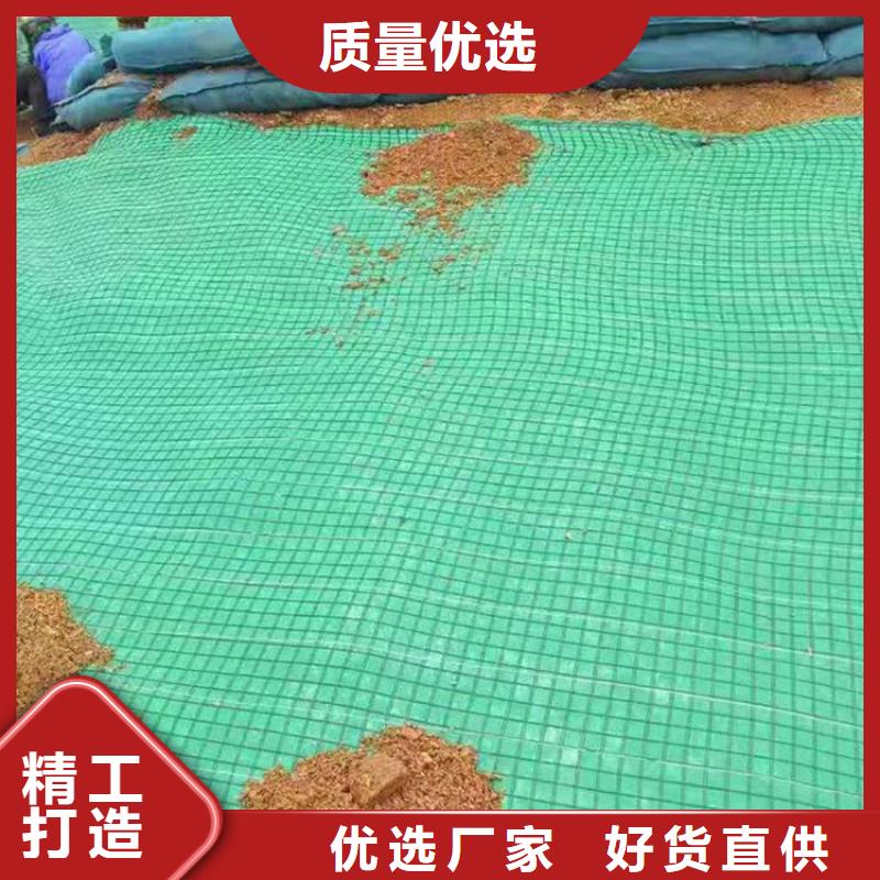 滁州加筋抗冲生物毯-护坡生态毯-草种抗冲生物毯