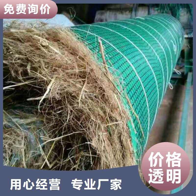 惠州植生椰丝毯-植物生态防护毯-椰丝植生毯