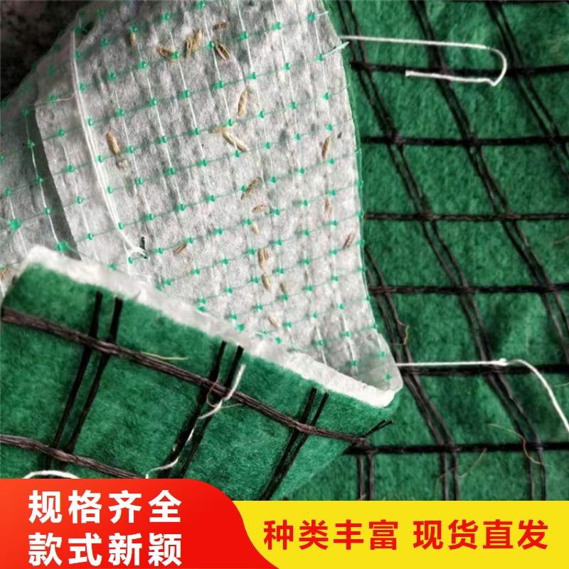 西宁椰丝毯产品动态已更新