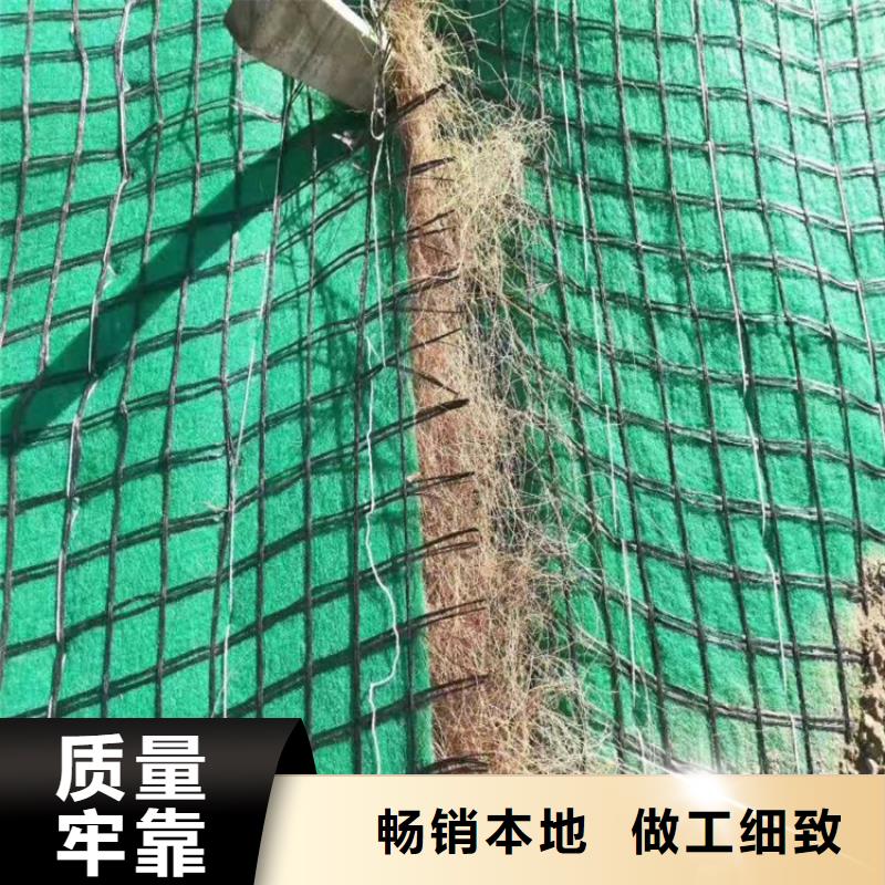 郑州植物纤维毯-椰丝植被毯