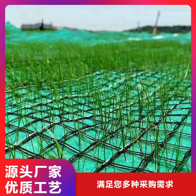 林芝椰纤植生毯 -加筋抗冲生物毯-草籽椰丝毯