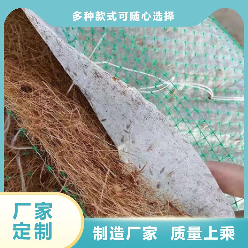 晋城椰纤植生毯 -绿化毯