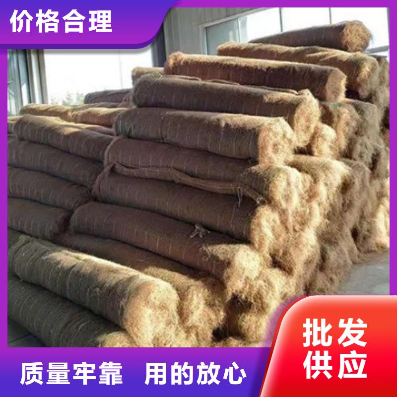 植物纤维毯-加筋抗冲生物毯加固-边坡防护本地制造商