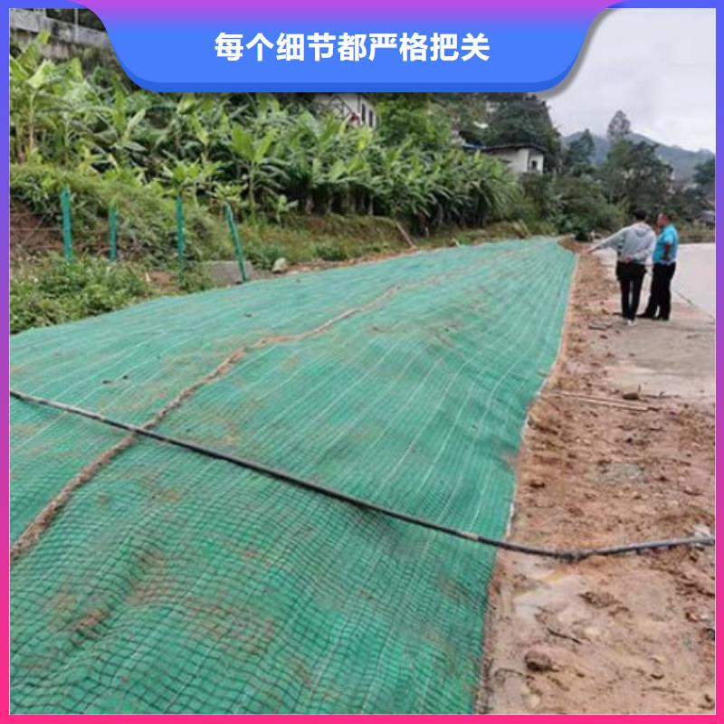 椰纤植生毯-加筋抗冲生物毯-环保植草毯当地厂家