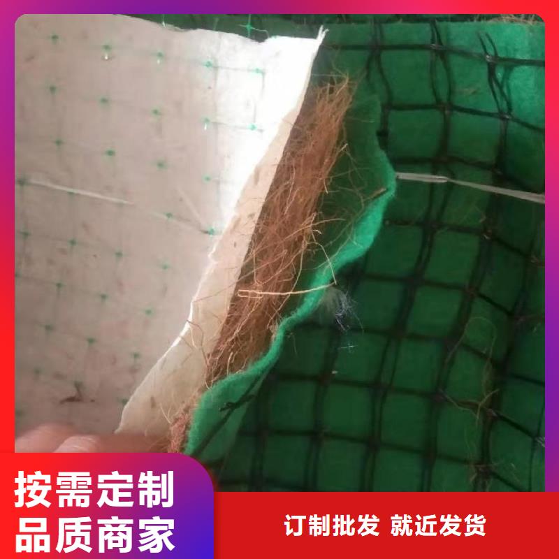 蚌埠草种抗冲生物毯护坡植被纤维毯