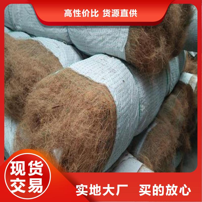 蚌埠椰纤植生毯批发供应