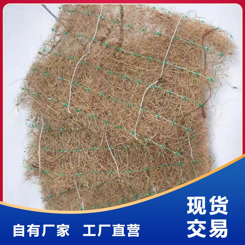 椰纤植生毯-生态环保草毯-生态植被毯精心打造