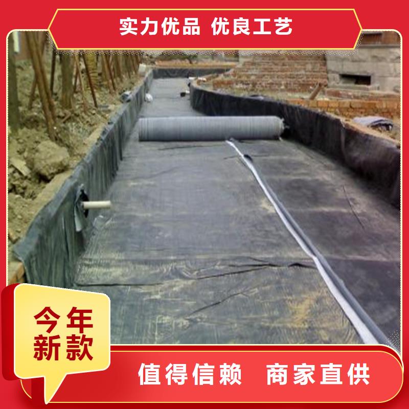 膨润土防水毯HDPE土工膜出货快专业生产制造厂
