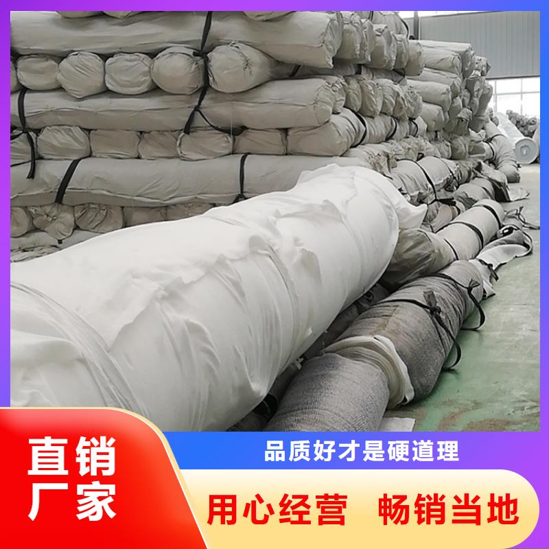 膨润土防水毯HDPE土工膜常年出售厂家直销安全放心