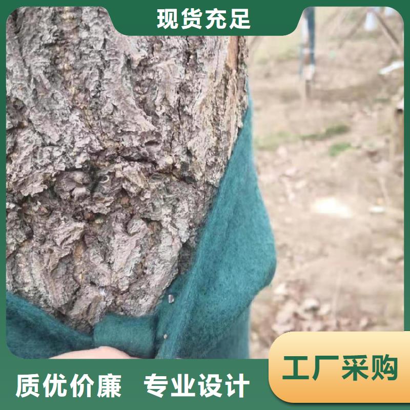 裹树布HDPE土工膜品质优良符合国家标准