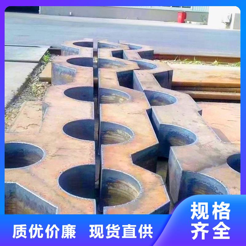 中山16MN特厚钢板零切厂家同城公司