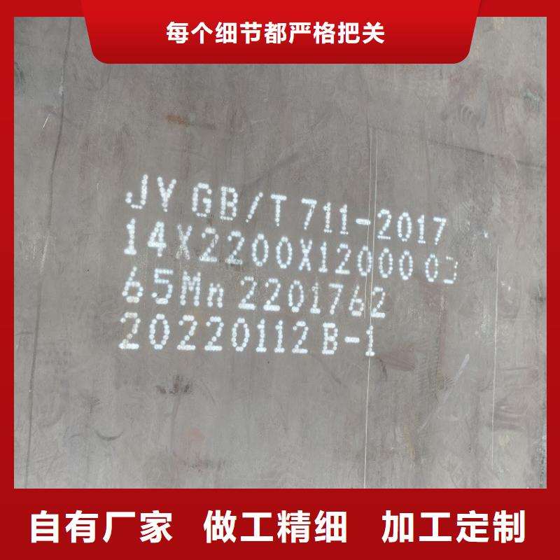 惠州65锰弹簧钢板零割厂家