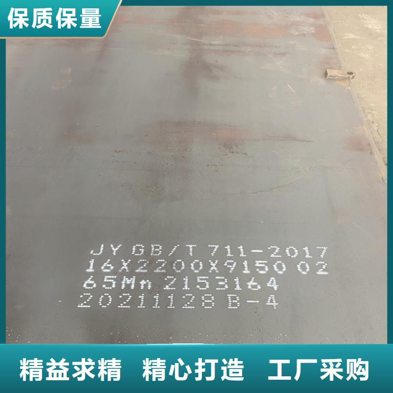 安徽65mn中厚钢板零切厂家