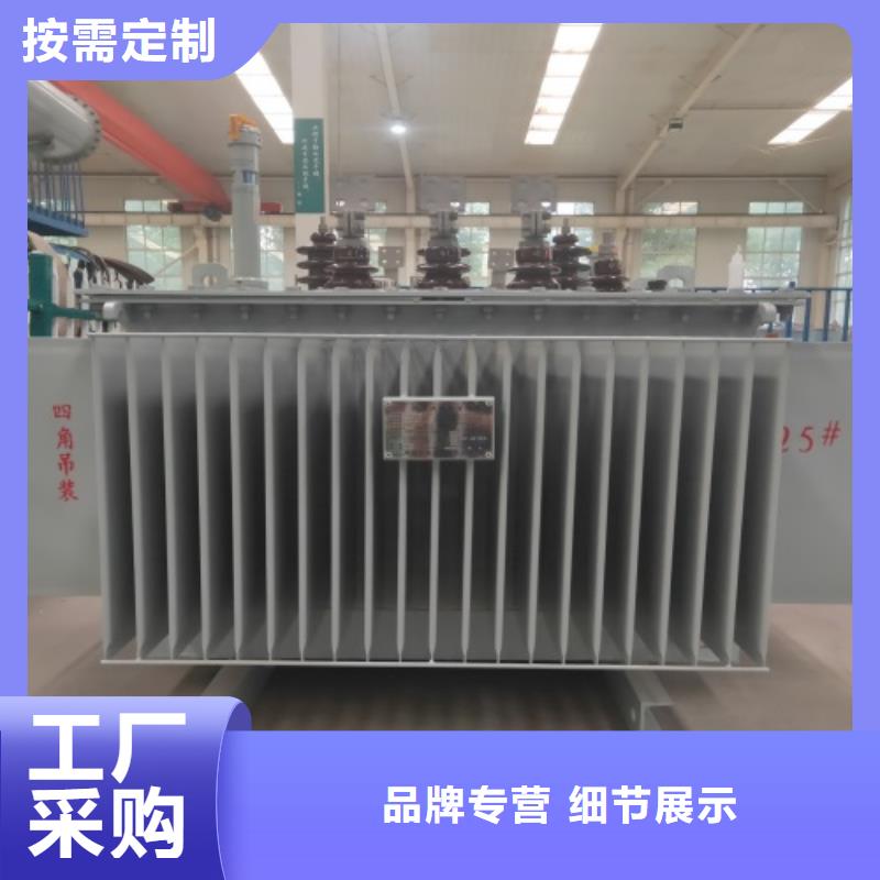 乐东县宜昌s20型油浸式变压器价格上门服务