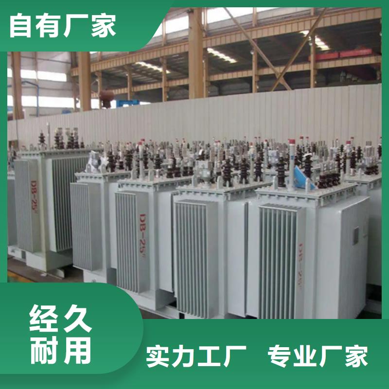 新闻：天水S20-m-800/10油浸式变压器厂家