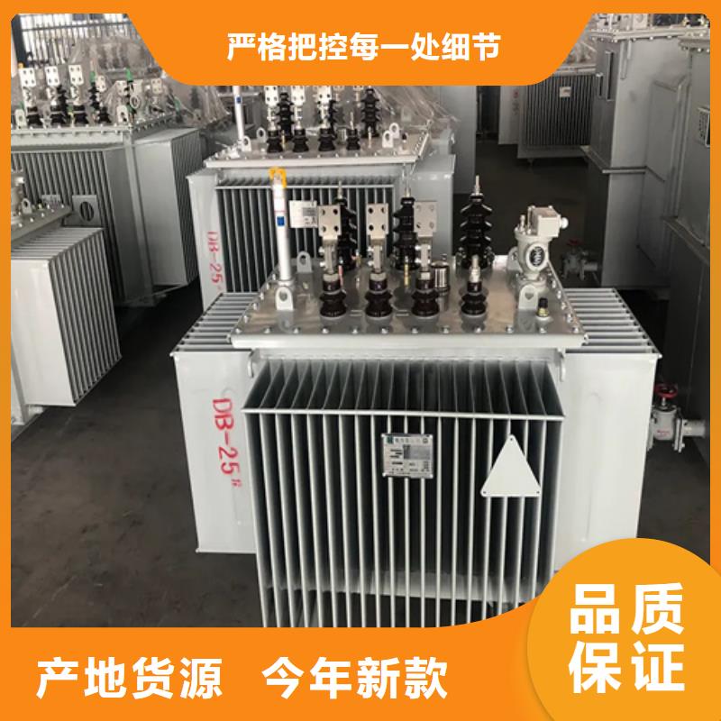 萍乡S13-m-800/10油浸式变压器图片-厂家