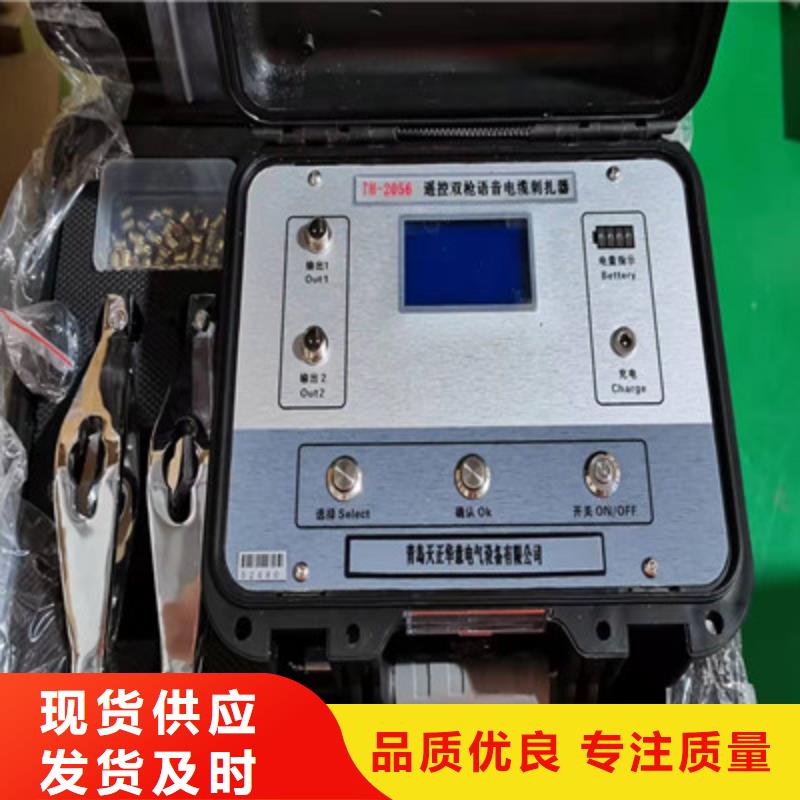 梅州 单芯交联电缆外护套故障测试仪