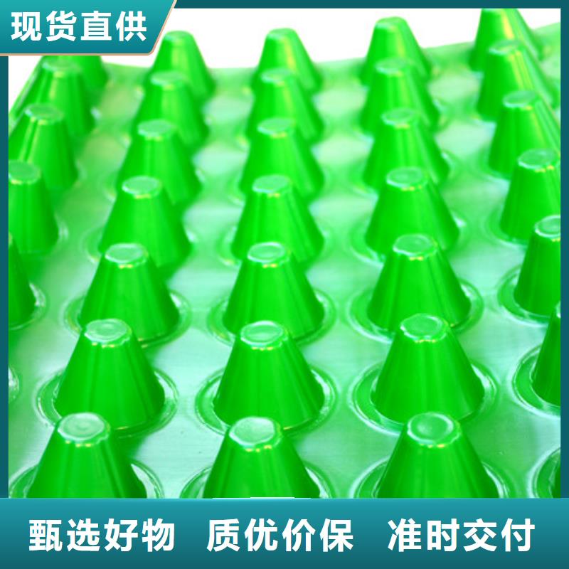 北京塑料排水板实力厂家