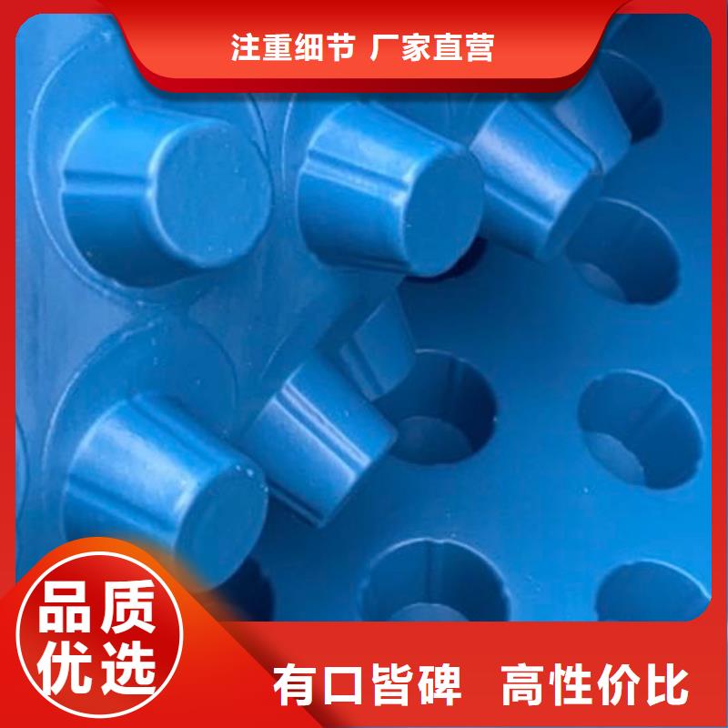 怒江塑料排水板生产厂家-朋联