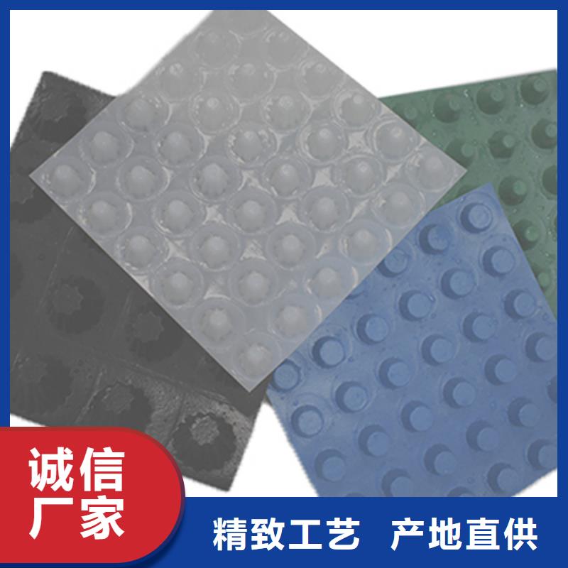 梅州塑料排水板
-高分子排水异形片