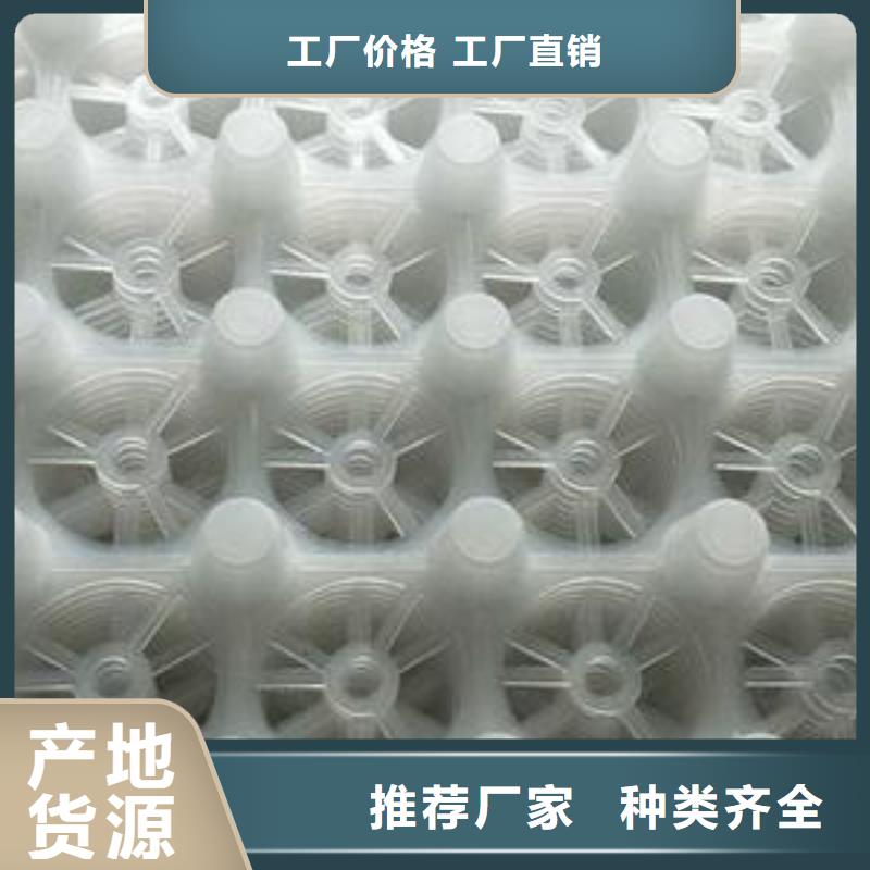 宜春塑料排水板实业集团-欢迎咨询