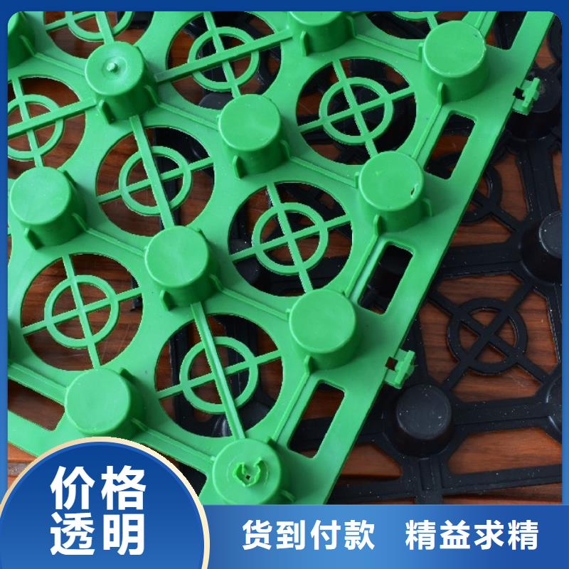 南京塑料排水板直供厂家