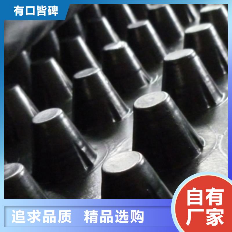 广州塑料排水板工厂直营