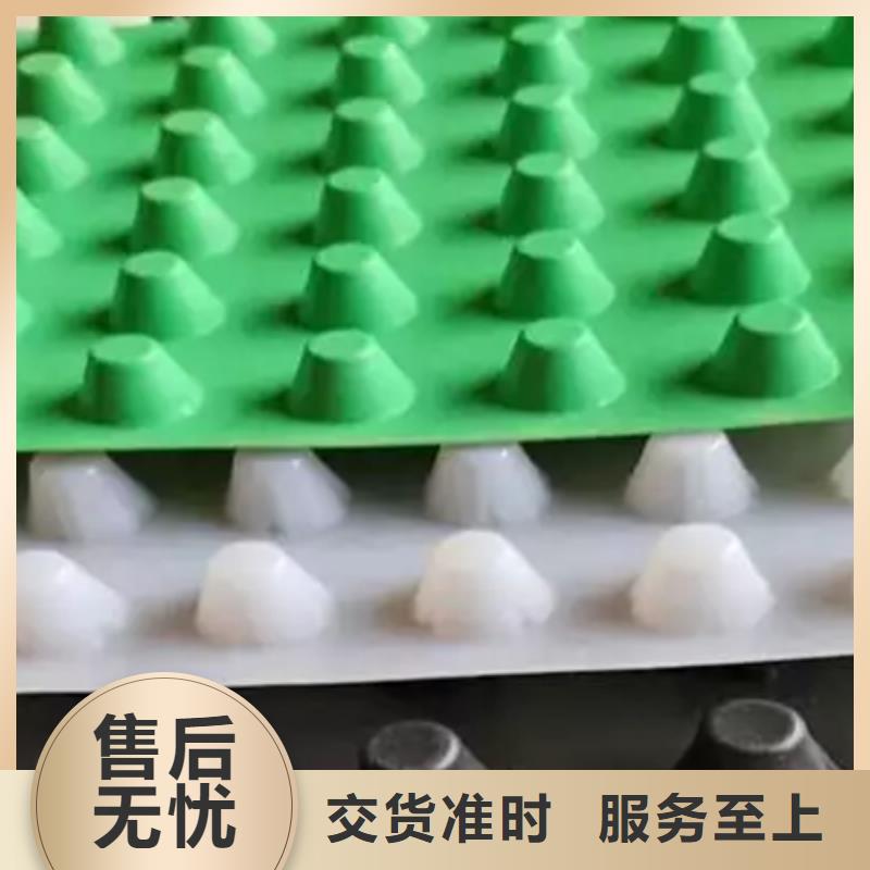 淮安塑料排水板推荐厂家