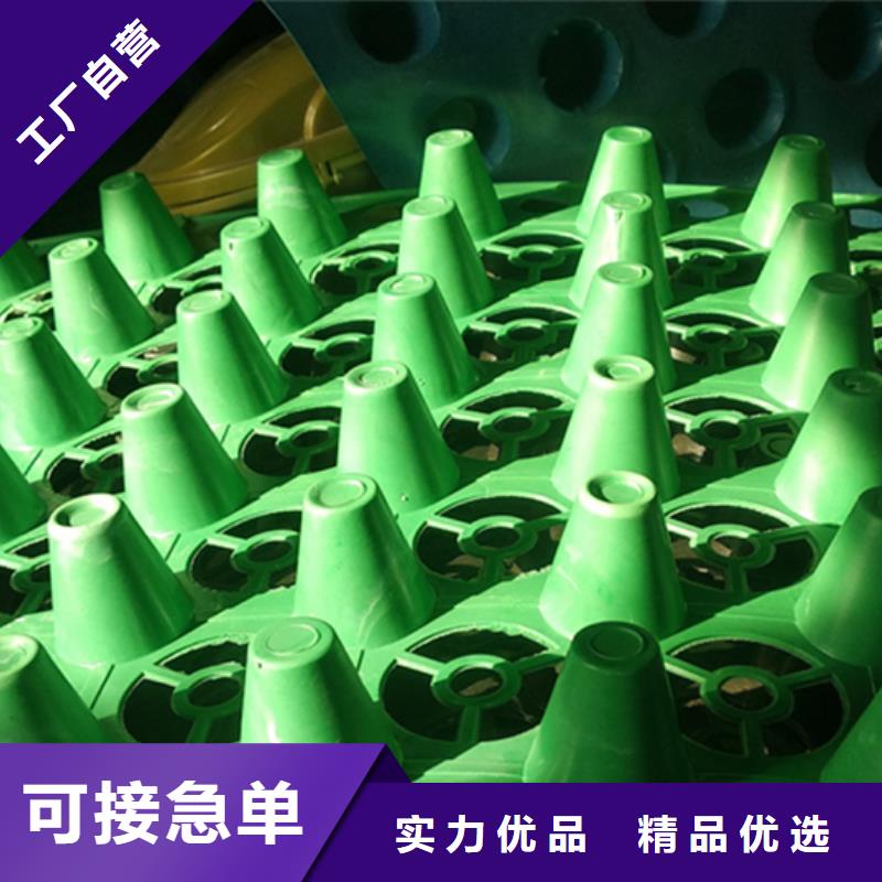 漳州塑料排水板直供厂家