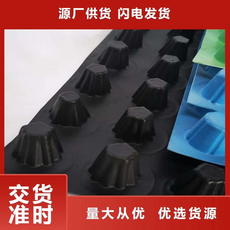 ​广安塑料排水板/本地公司
