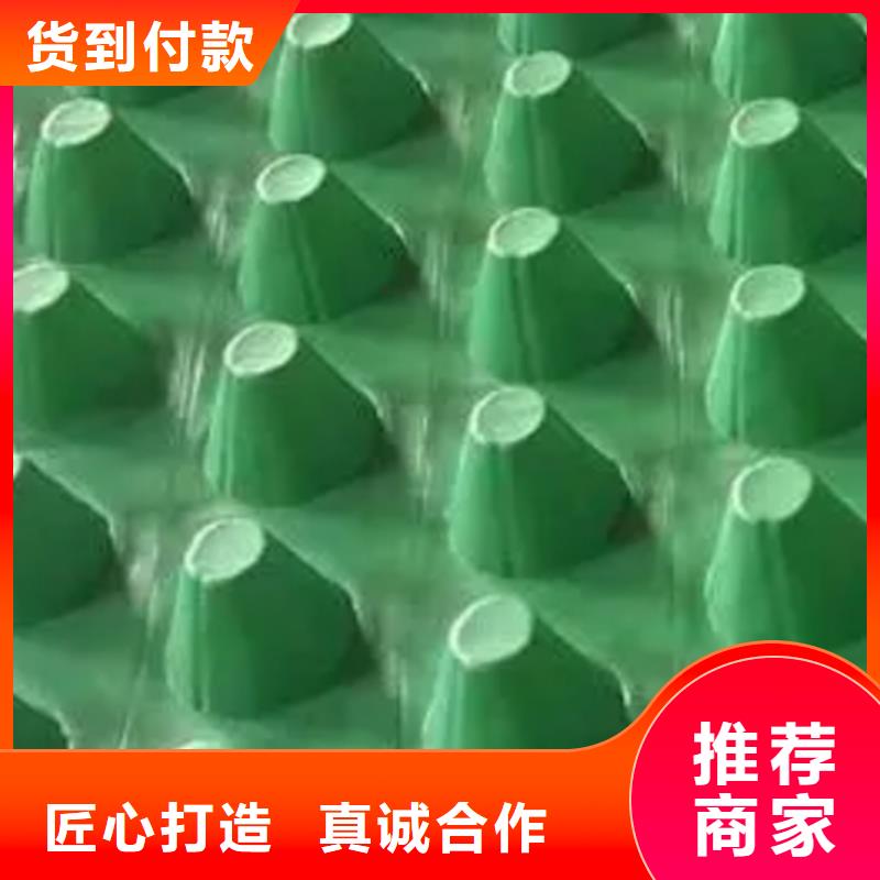 铜川塑料排水板价格-生产厂家