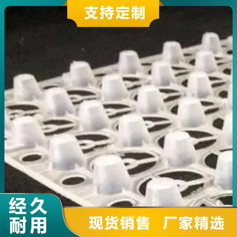 晋城塑料排水板本地公司