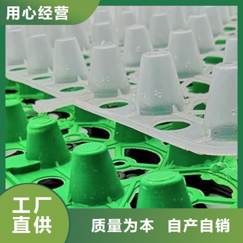 庆阳塑料排水板生产厂家*价格