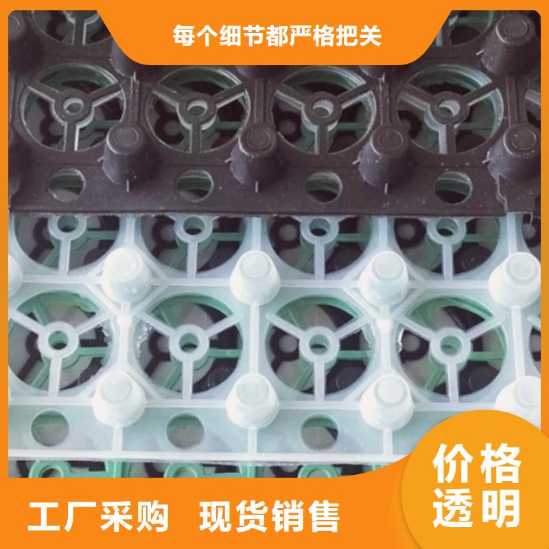 北京塑料排水板本地办事处
