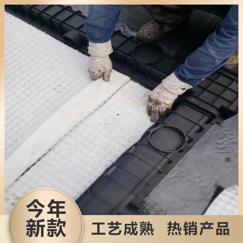 芜湖防护虹吸排水收集系统工厂直销
