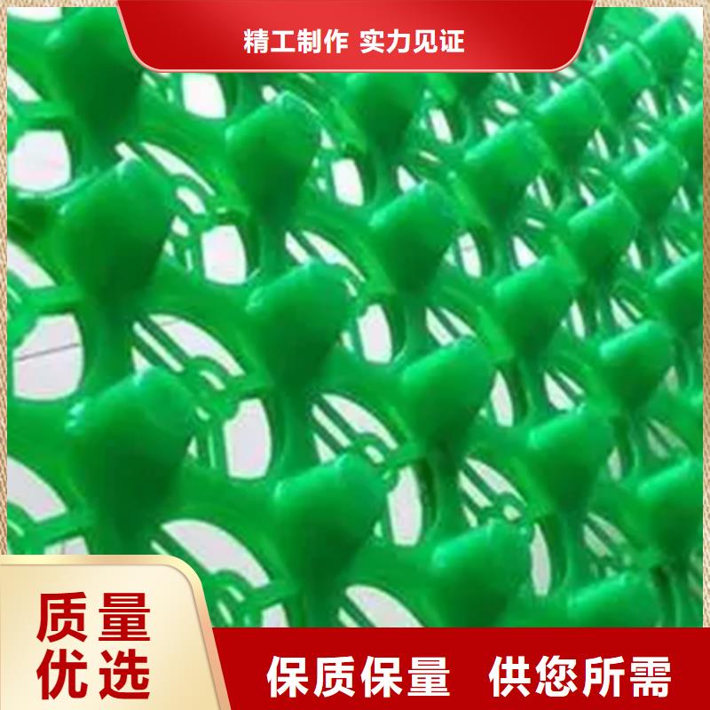 柳州高分子防护排水异形片直供厂家
