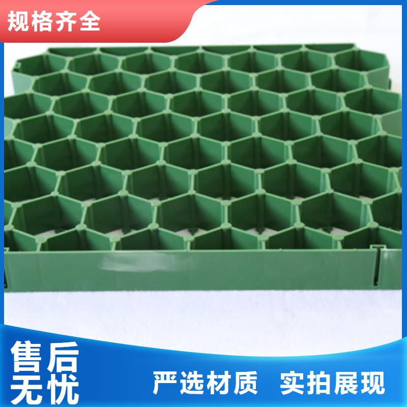 郑州塑料植草格价格-2023已更新