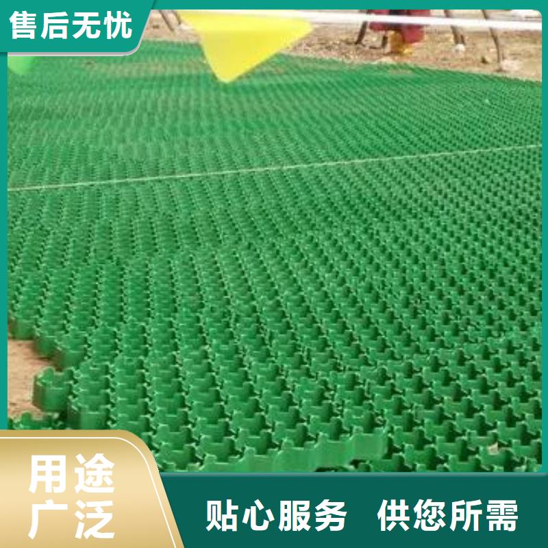 本溪塑料植草格-3公分植草格现货发售