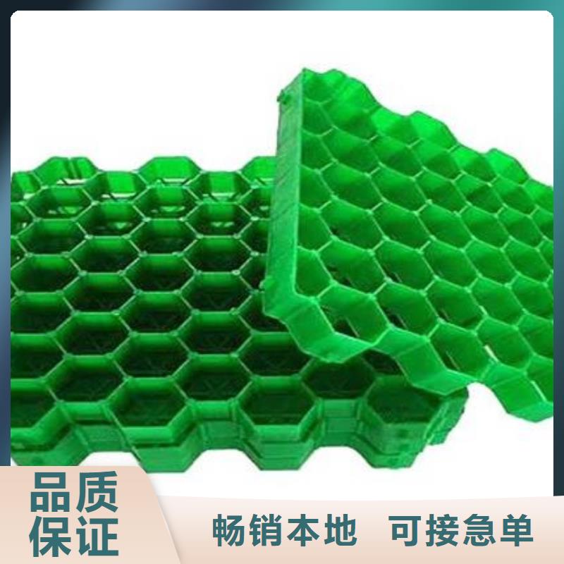 ​忻州塑料植草格-联系方式