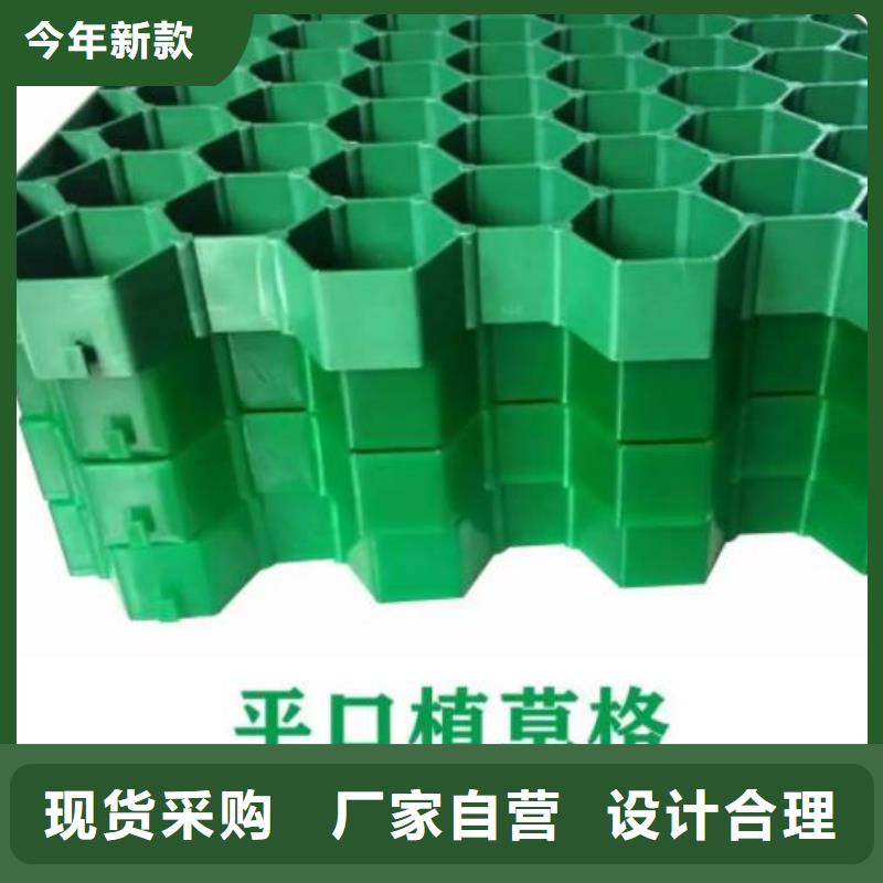 南京塑料植草格-规格全
