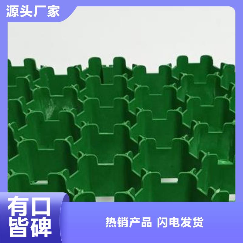 重庆塑料植草格型号全/价格低