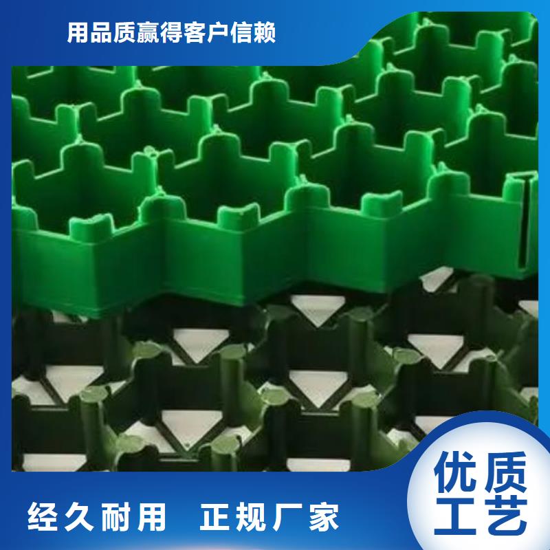 南昌塑料植草格生产厂家