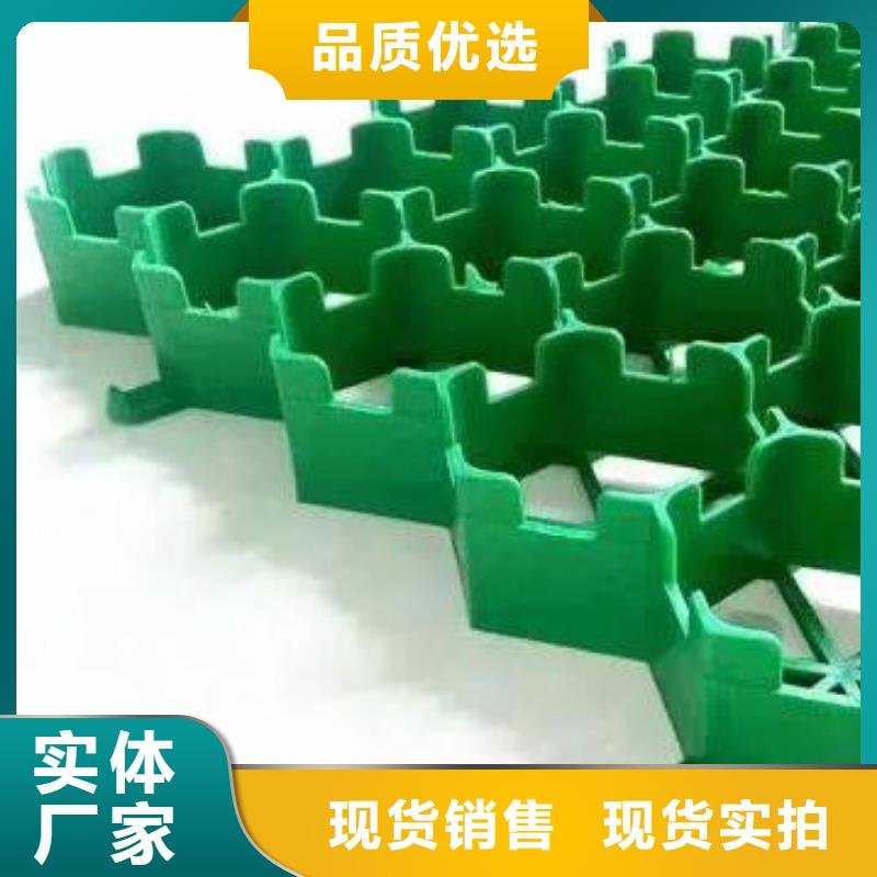 上海塑料植草格价格低