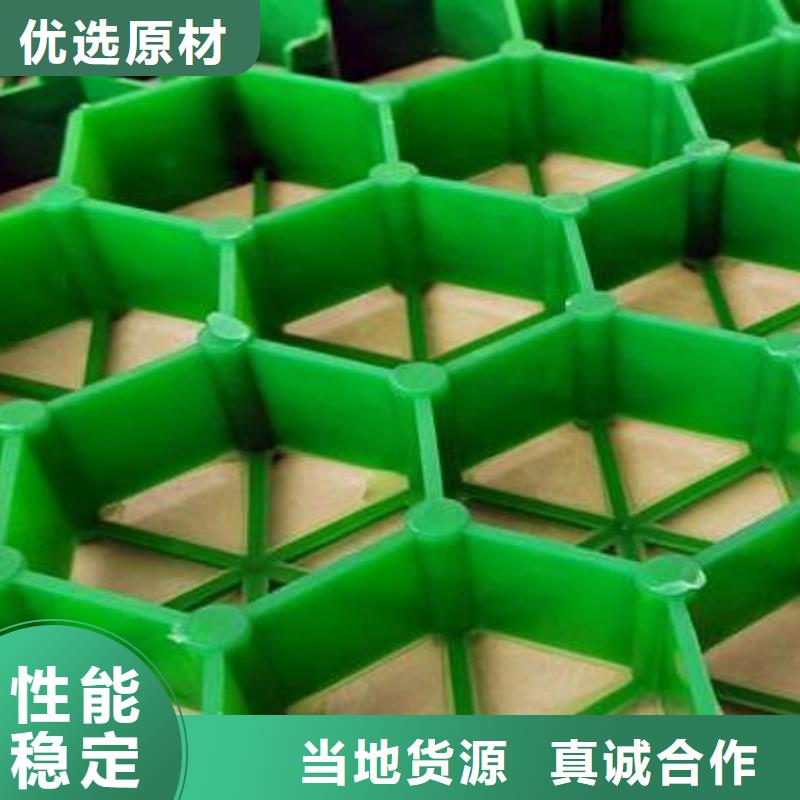 青海塑料植草格生产厂家-朋联