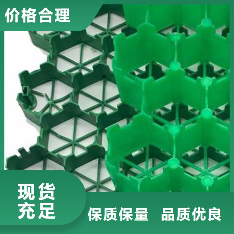 丹东塑料植草格*生产厂家