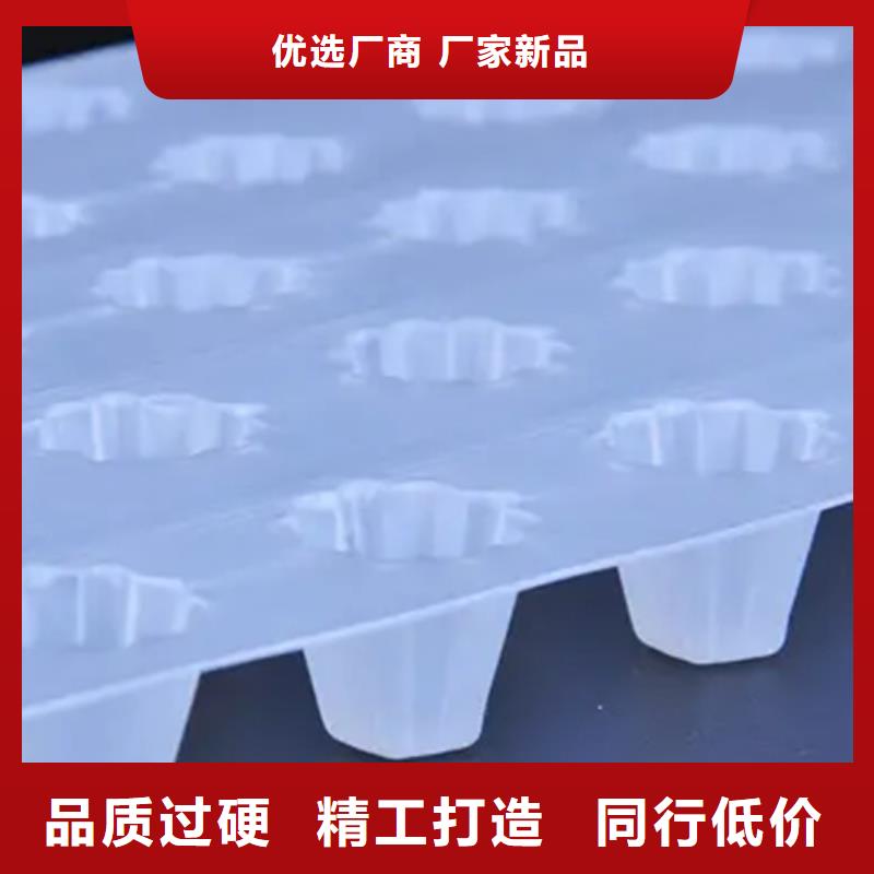 濮阳塑料排水板工厂直销