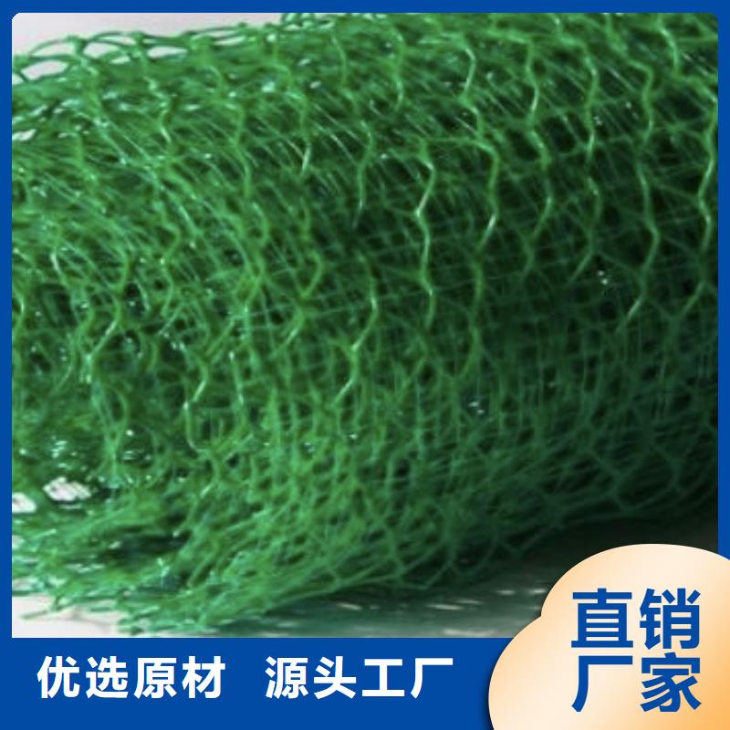 北京三维植被网 植草格技术先进